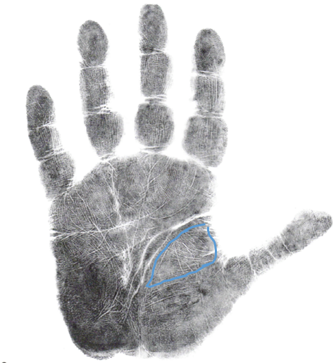 Hand analysis